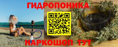 гидра Бийск